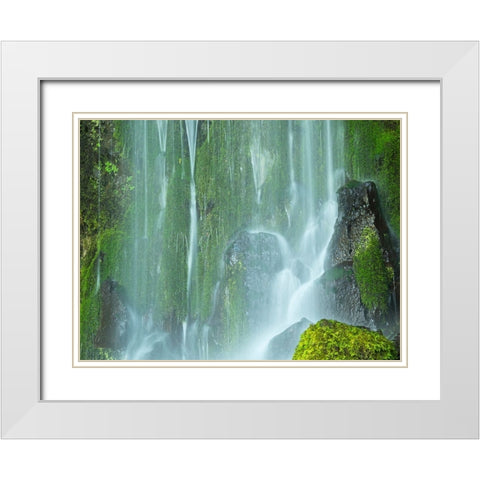 Oregon-Columbia River Gorge National Scenic Area-Lancaster Falls White Modern Wood Framed Art Print with Double Matting by Wild, Jamie and Judy