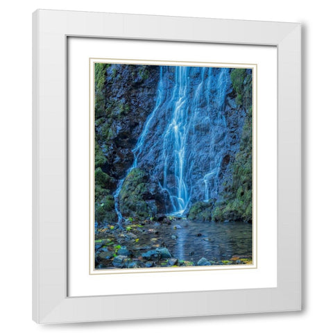 Oregon-Columbia River Gorge National Scenic Area-Cabin Creek Falls White Modern Wood Framed Art Print with Double Matting by Wild, Jamie and Judy