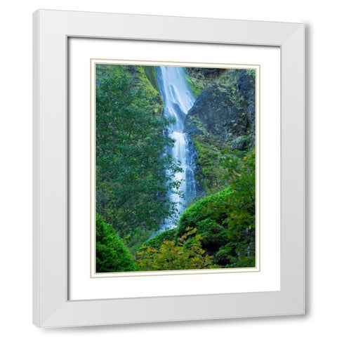 Oregon-Columbia River Gorge National Scenic Area-Starvation Creek Falls White Modern Wood Framed Art Print with Double Matting by Wild, Jamie and Judy
