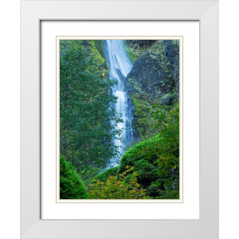 Oregon-Columbia River Gorge National Scenic Area-Starvation Creek Falls White Modern Wood Framed Art Print with Double Matting by Wild, Jamie and Judy