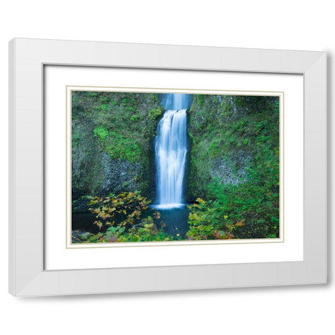 Oregon-Columbia River Gorge National Scenic Area-Multnomah Falls-lower White Modern Wood Framed Art Print with Double Matting by Wild, Jamie and Judy