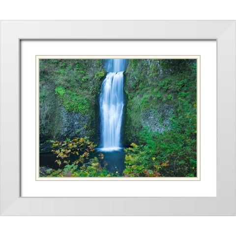 Oregon-Columbia River Gorge National Scenic Area-Multnomah Falls-lower White Modern Wood Framed Art Print with Double Matting by Wild, Jamie and Judy