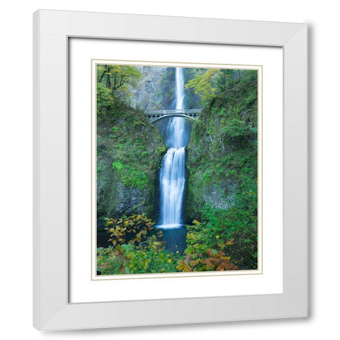 Oregon-Columbia River Gorge National Scenic Area-Multnomah Falls White Modern Wood Framed Art Print with Double Matting by Wild, Jamie and Judy