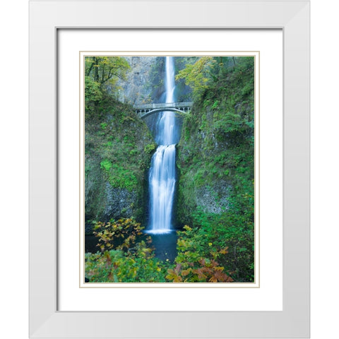 Oregon-Columbia River Gorge National Scenic Area-Multnomah Falls White Modern Wood Framed Art Print with Double Matting by Wild, Jamie and Judy