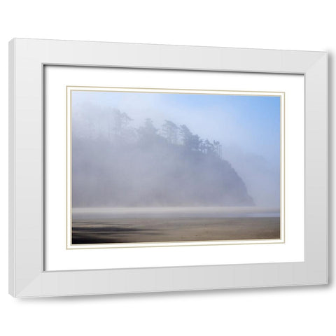 Oregon-Hug Point Morning fog White Modern Wood Framed Art Print with Double Matting by Wild, Jamie and Judy
