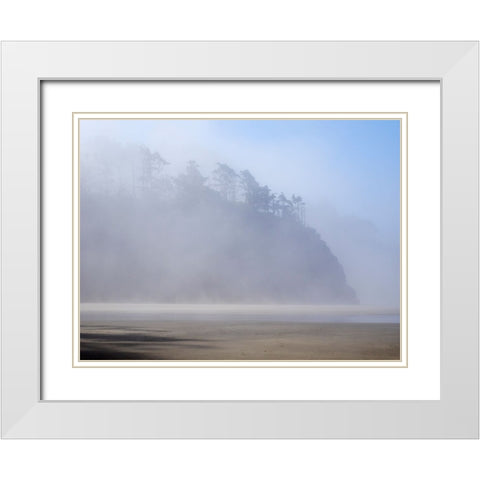Oregon-Hug Point Morning fog White Modern Wood Framed Art Print with Double Matting by Wild, Jamie and Judy