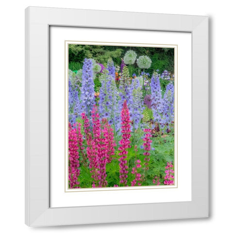 Oregon-Salem springtime garden with Lupine-Allum and Delphinium White Modern Wood Framed Art Print with Double Matting by Gulin, Sylvia
