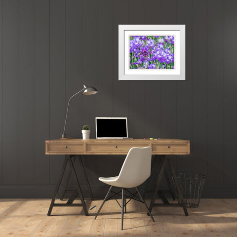 Oregon-Salem-Bearded Iris springtime bloom White Modern Wood Framed Art Print with Double Matting by Gulin, Sylvia
