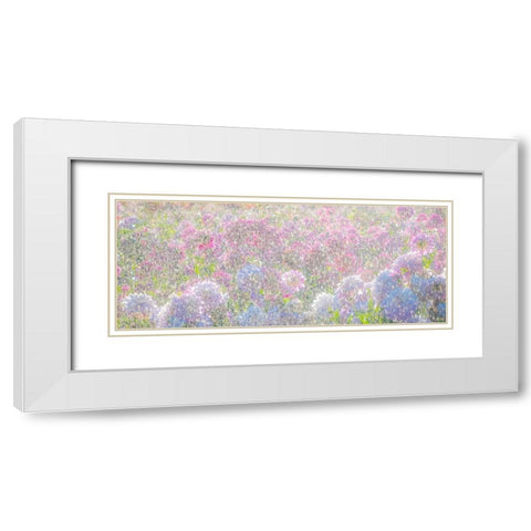 Oregon-Canby-Swam Island Dahlias-water coming down on flowers White Modern Wood Framed Art Print with Double Matting by Gulin, Sylvia