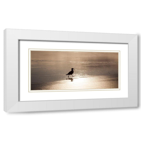 Oregon Cannon Beach with seagull reflection in the sand at sunset White Modern Wood Framed Art Print with Double Matting by Gulin, Sylvia