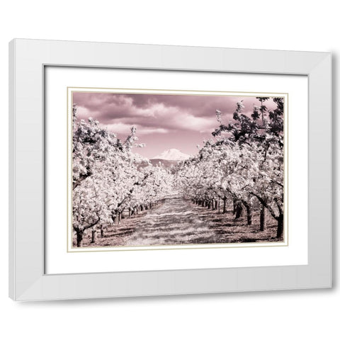 USA-Oregon-Columbia Gorge Infrared of Spring orchards and Mount Rainier White Modern Wood Framed Art Print with Double Matting by Eggers, Terry