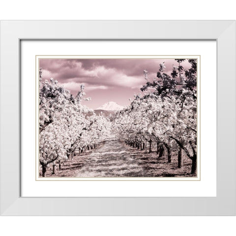 USA-Oregon-Columbia Gorge Infrared of Spring orchards and Mount Rainier White Modern Wood Framed Art Print with Double Matting by Eggers, Terry