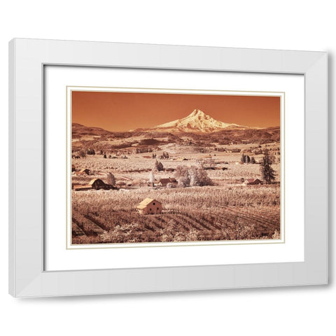 USA-Oregon-Columbia Gorge Infrared of spring orchards in bloom and Mount Hood White Modern Wood Framed Art Print with Double Matting by Eggers, Terry