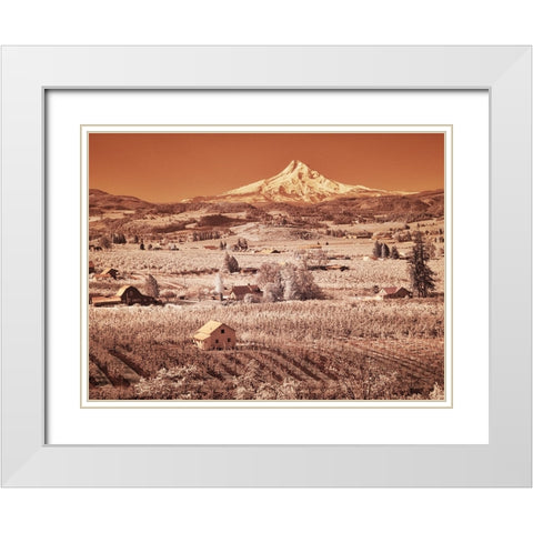 USA-Oregon-Columbia Gorge Infrared of spring orchards in bloom and Mount Hood White Modern Wood Framed Art Print with Double Matting by Eggers, Terry