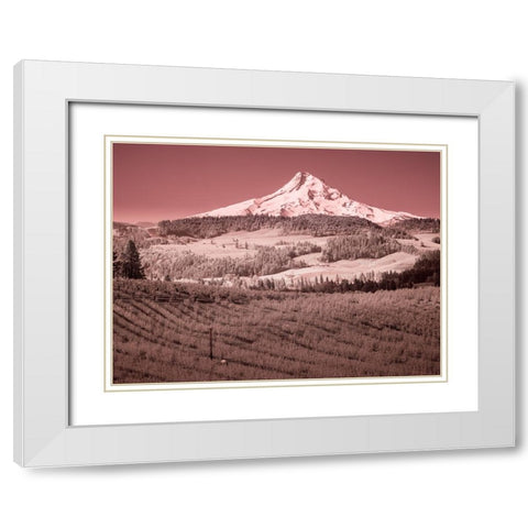 USA-Oregon-Columbia Gorge Infrared of spring orchards in bloom and Mount Hood White Modern Wood Framed Art Print with Double Matting by Eggers, Terry