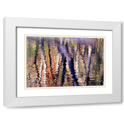 PA, Philadelphia Autumn trees by Pennypack Creek White Modern Wood Framed Art Print with Double Matting by OBrien, Jay