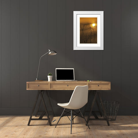 PA, Philadelphia, Sunset reflection on lake White Modern Wood Framed Art Print with Double Matting by OBrien, Jay