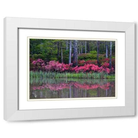 GA, Impressionistic trees and flowering bushes White Modern Wood Framed Art Print with Double Matting by Rotenberg, Nancy