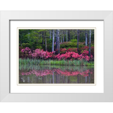 GA, Impressionistic trees and flowering bushes White Modern Wood Framed Art Print with Double Matting by Rotenberg, Nancy
