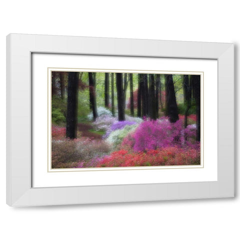 GA, Impressionistic trees and flowering bushes White Modern Wood Framed Art Print with Double Matting by Rotenberg, Nancy