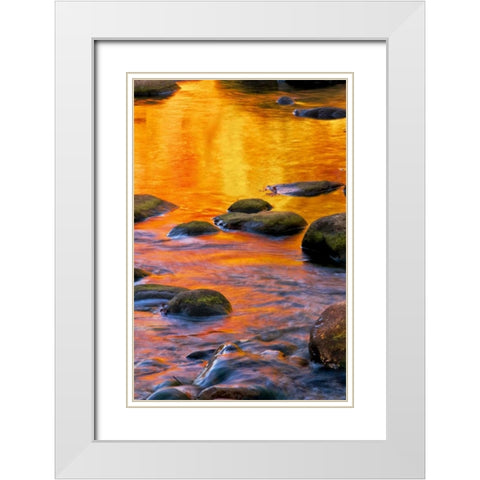 PA, Delaware Water Gap Bright sun on water White Modern Wood Framed Art Print with Double Matting by OBrien, Jay