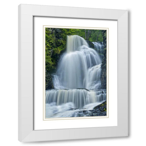 PA, Dingmans Ferry Dingmans Falls and forest White Modern Wood Framed Art Print with Double Matting by OBrien, Jay