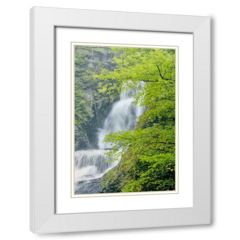 PA, Dingmans Ferry, Dingmans Ferry Falls White Modern Wood Framed Art Print with Double Matting by OBrien, Jay