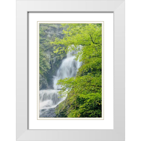 PA, Dingmans Ferry, Dingmans Ferry Falls White Modern Wood Framed Art Print with Double Matting by OBrien, Jay