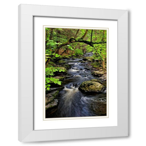 PA, Dingmans Ferry, Childs Park Dingmans Creek White Modern Wood Framed Art Print with Double Matting by OBrien, Jay