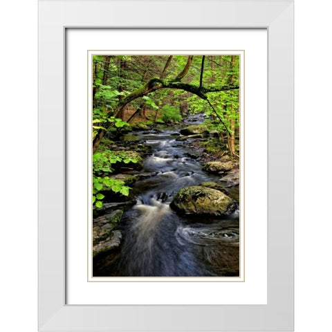 PA, Dingmans Ferry, Childs Park Dingmans Creek White Modern Wood Framed Art Print with Double Matting by OBrien, Jay