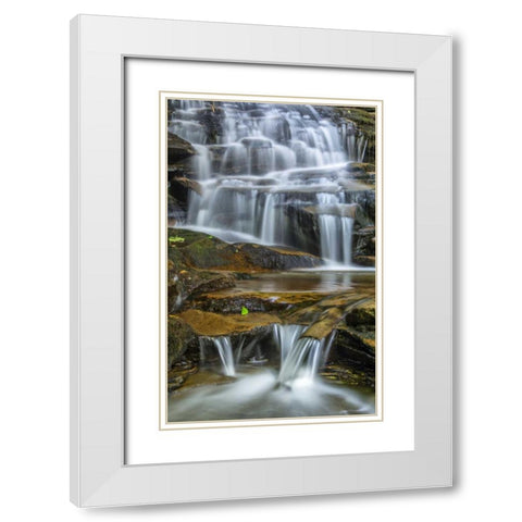 Pennsylvania Waterfall in Ricketts Glen SP White Modern Wood Framed Art Print with Double Matting by OBrien, Jay