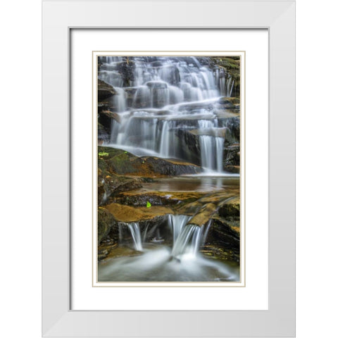 Pennsylvania Waterfall in Ricketts Glen SP White Modern Wood Framed Art Print with Double Matting by OBrien, Jay