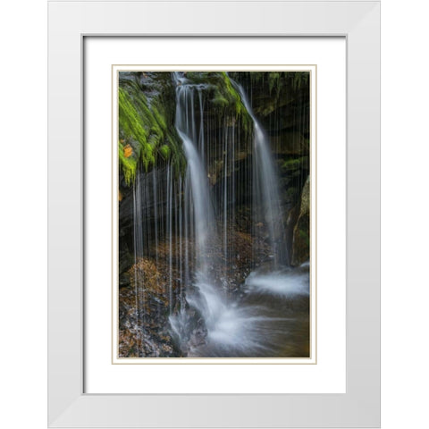 Pennsylvania Waterfall in Ricketts Glen SP White Modern Wood Framed Art Print with Double Matting by OBrien, Jay