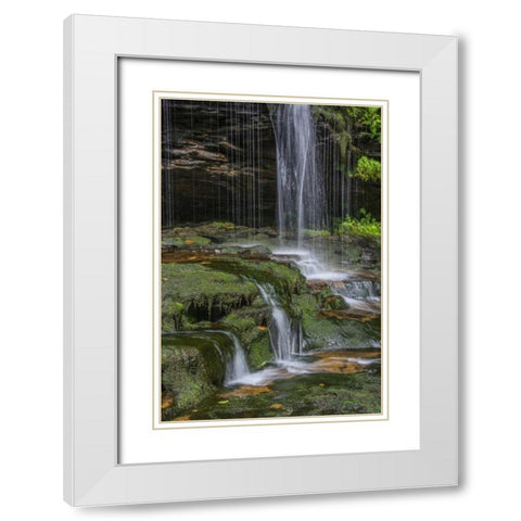 Pennsylvania Waterfall in Ricketts Glen SP White Modern Wood Framed Art Print with Double Matting by OBrien, Jay