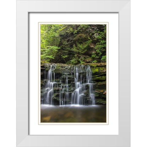 Pennsylvania Waterfall in Ricketts Glen SP White Modern Wood Framed Art Print with Double Matting by OBrien, Jay