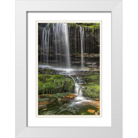 Pennsylvania Waterfall in Ricketts Glen SP White Modern Wood Framed Art Print with Double Matting by OBrien, Jay