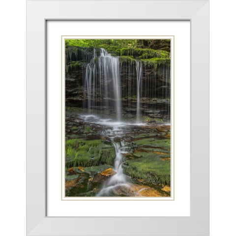 Pennsylvania Waterfall in Ricketts Glen SP White Modern Wood Framed Art Print with Double Matting by OBrien, Jay