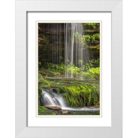 Pennsylvania Waterfall in Ricketts Glen SP White Modern Wood Framed Art Print with Double Matting by OBrien, Jay