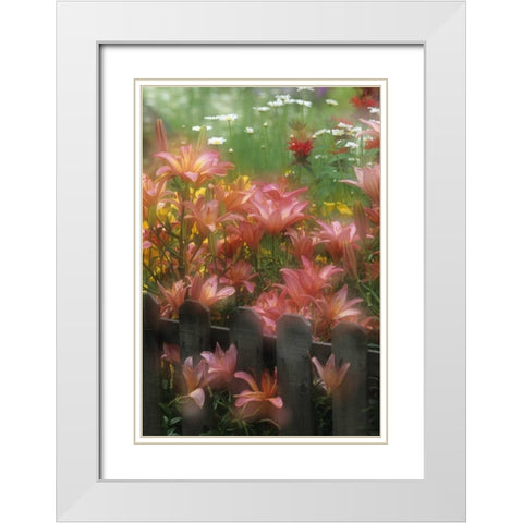 PA, Double exposure of lilies and fence in garden White Modern Wood Framed Art Print with Double Matting by Rotenberg, Nancy