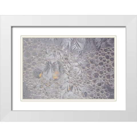 Pennsylvania Frosty window pane and soap bubbles White Modern Wood Framed Art Print with Double Matting by Anon, Ellen