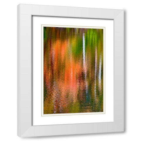 PA, Delaware Watergap Autumn reflect on water White Modern Wood Framed Art Print with Double Matting by OBrien, Jay