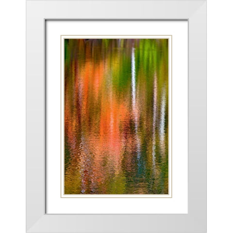 PA, Delaware Watergap Autumn reflect on water White Modern Wood Framed Art Print with Double Matting by OBrien, Jay