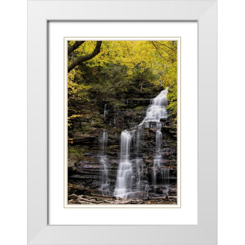 Pennsylvania Waterfall in Ricketts Glen SP White Modern Wood Framed Art Print with Double Matting by OBrien, Jay