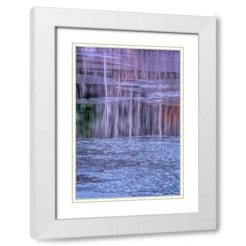 PA, Delaware Water gap NRA Tree reflection White Modern Wood Framed Art Print with Double Matting by OBrien, Jay