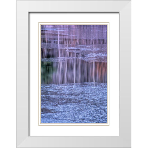 PA, Delaware Water gap NRA Tree reflection White Modern Wood Framed Art Print with Double Matting by OBrien, Jay