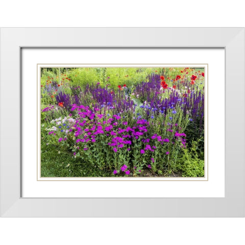 USA, Pennsylvania Summer flowers White Modern Wood Framed Art Print with Double Matting by OBrien, Jay