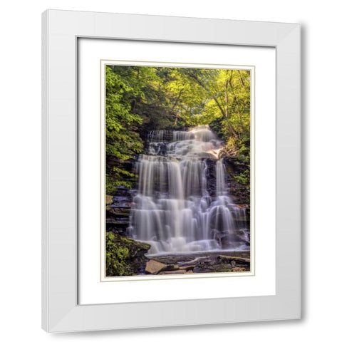 PA, Benton, Ricketts Glen SP Ganoga Falls White Modern Wood Framed Art Print with Double Matting by OBrien, Jay