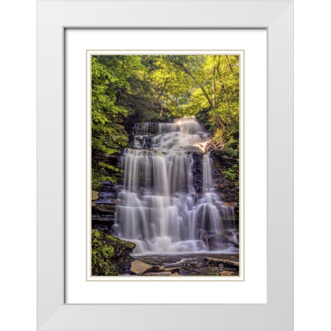PA, Benton, Ricketts Glen SP Ganoga Falls White Modern Wood Framed Art Print with Double Matting by OBrien, Jay