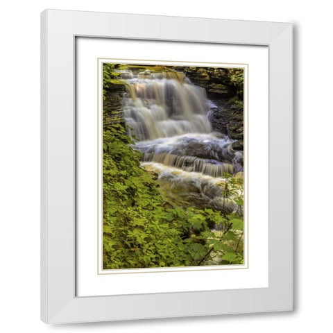 Pennsylvania, Ricketts Glen SP Delaware Falls White Modern Wood Framed Art Print with Double Matting by OBrien, Jay