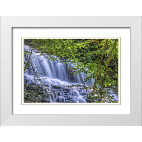 PA, Benton, Ricketts Glen SP Mohawk Falls White Modern Wood Framed Art Print with Double Matting by OBrien, Jay